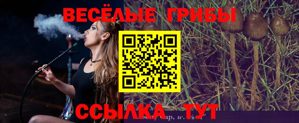 что такое   Вход с VPN  Елизово  Псилоцибиновые грибы Magic Shrooms 