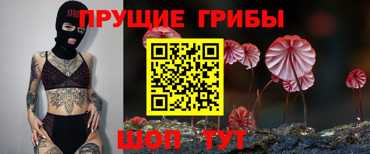 Псилоцибиновые грибы GOLDEN TEACHER Елизово